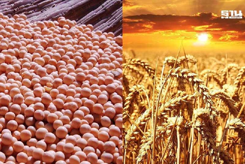 เช็คลิสต์ภาษีนำเข้าอาหารสัตว์ไทย นับถอยหลังเปิดภาษี 0% ให้สินค้าสหรัฐ