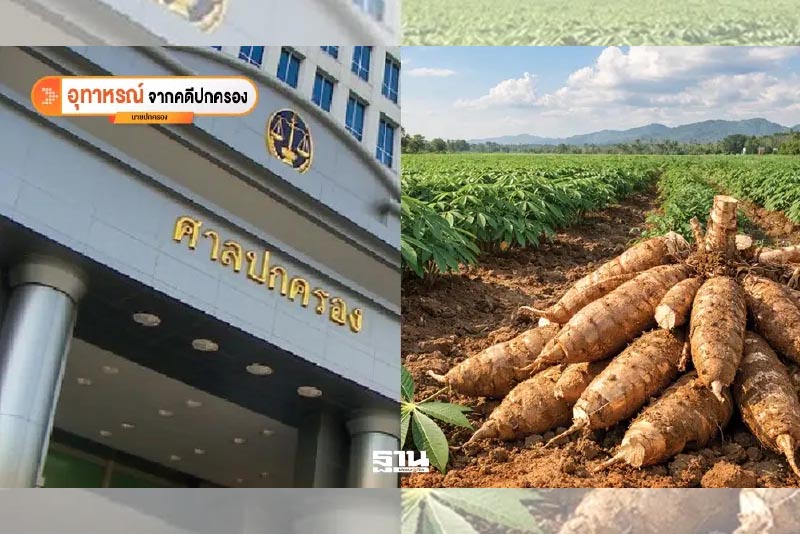 เมื่อประกาศแสดงราคามันสำปะหลังไม่ชอบ เหตุไฉนไม่ละเมิด?